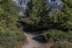 Trail to the Taggert Lake