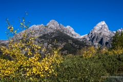 Fall at Taggart Lake