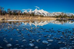 A Schwabacher Morning