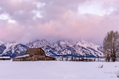 Mormon Row in Winter