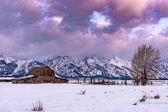Pink Mormon Row Sunrise