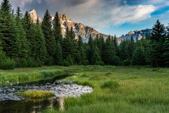 North  of Schwabacher's